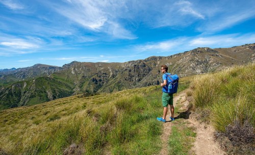 Hikers on trail