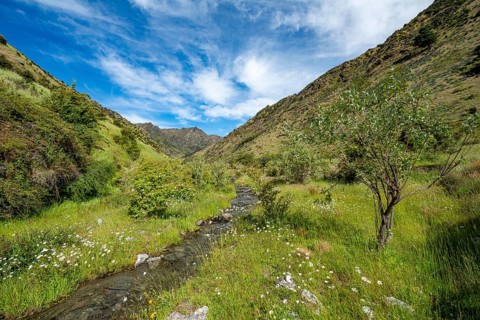 Green valley