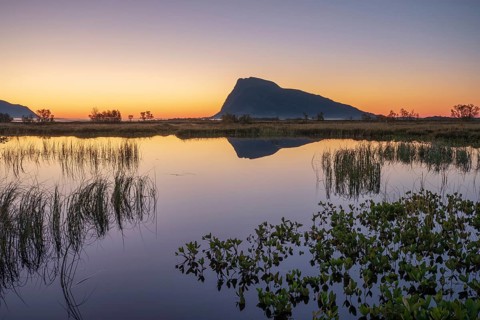 Swampland