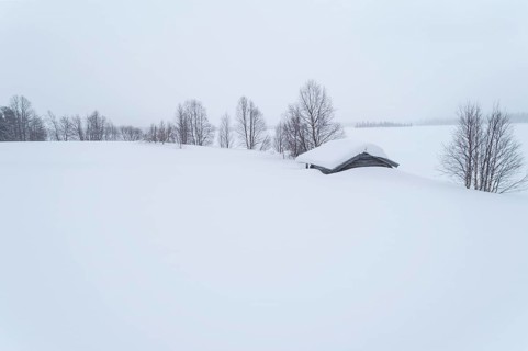 Lonely wooden house in wide landscape in snow in winter with bare trees