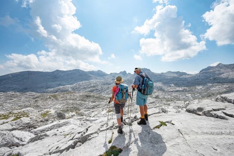 Two hikers look into the distance
