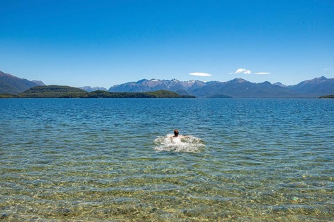 Young man bathes in the lake