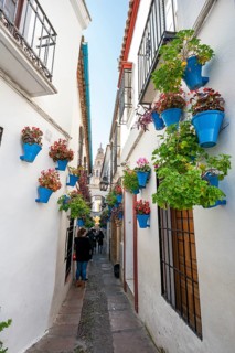 Calle de las Flores