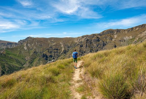Hikers on trail
