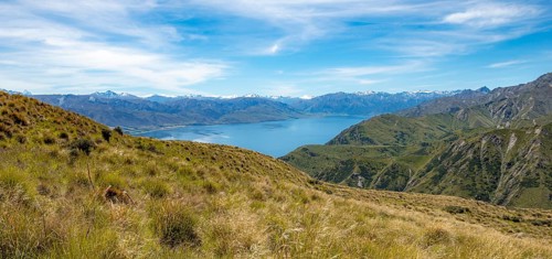 View from the Grandview Mountain Track to the lake