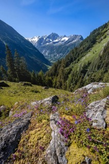 Mountain landscape