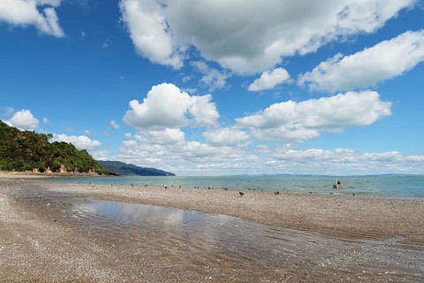 Firth of Thames