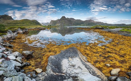 Fjord landscape at low tide
