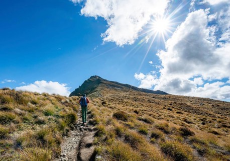 Hiker on the hiking trail to Ben Lomond
