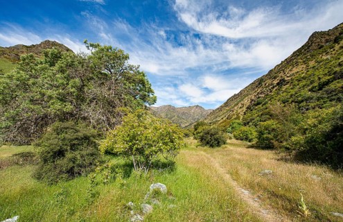 Hiking trail in the valley of Grandview Creek