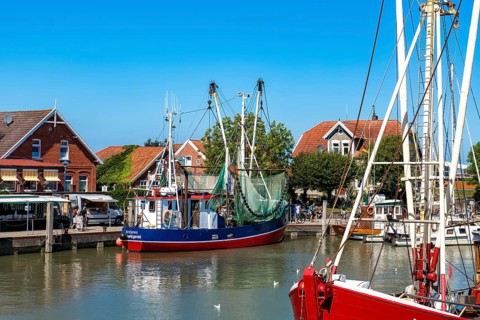 Colourful shrimp boats in the fishing port