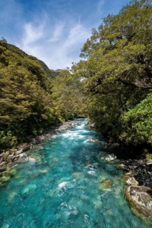 Hollyford River