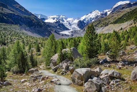Hiking trail in the Morteratsch Valley with Bellavista