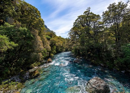 Hollyford River
