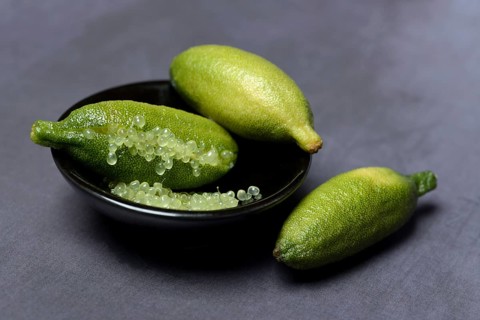 Australian finger lime