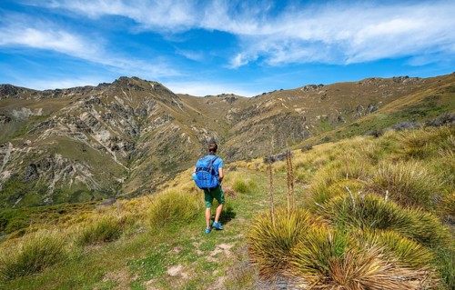 Hikers on trail