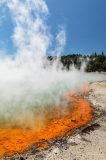 Champagne Pool