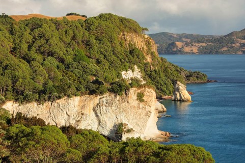 Coast at Cathedral Cove Walk