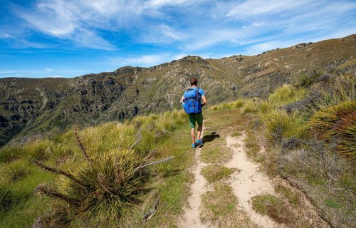 Hikers on trail