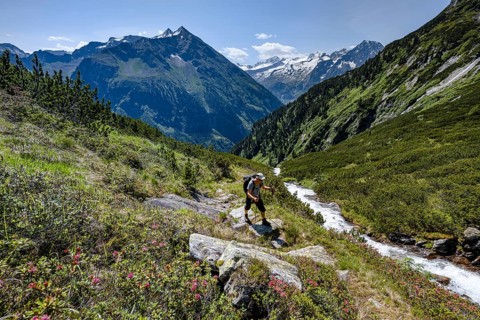 Hiker on hiking trail