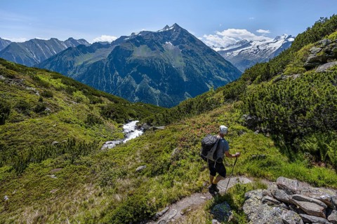 Hiker on hiking trail