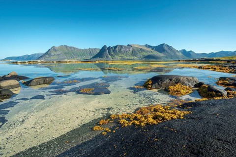 Shallow coastal waters