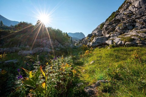 Karst landscape