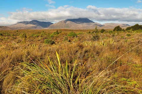 Mount Ngauruhoe