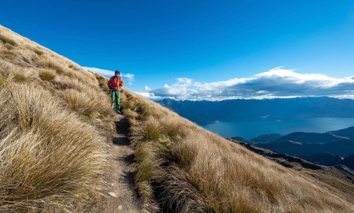 Hiker on the hiking trail to Ben Lomond