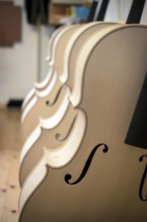 Violin blanks