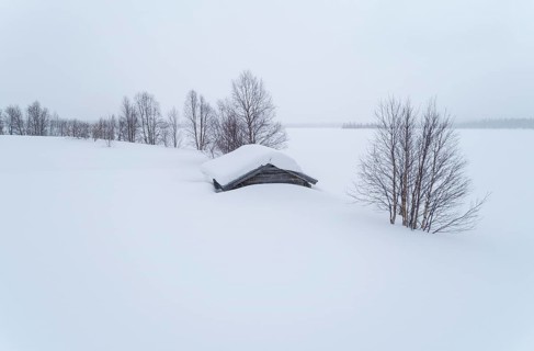 Lonely wooden house in wide landscape in snow in winter with bare trees