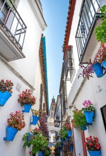 Calle de las Flores