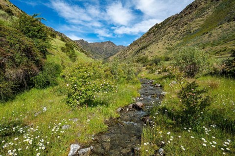 Green valley