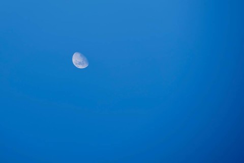 Waning crescent in the daytime sky