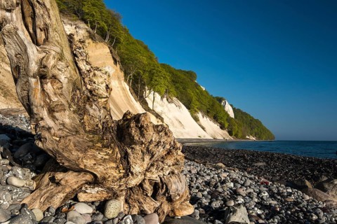 View of the chalk cliffs in the Jasmund National Park on Ruegen