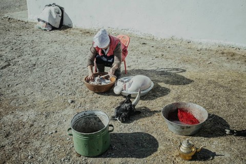 Jamalgan