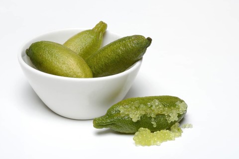 Australian finger lime