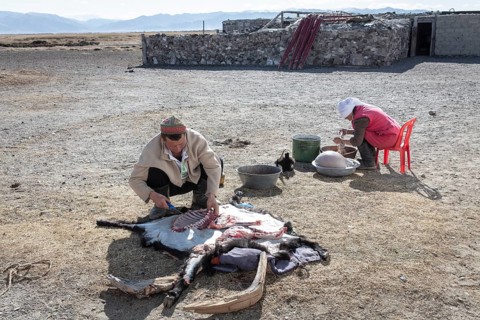 Spai Bashakhan