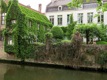The house overgrown with vines behind the Church of Our Dear Lady