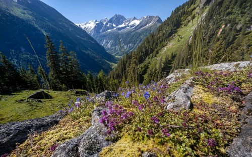 Mountain landscape