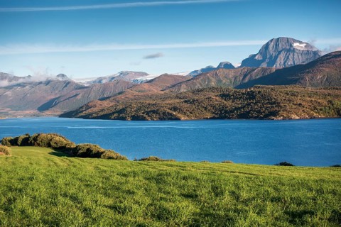 Green pasture in front of a fjord