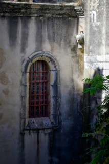 Side Window and Gargoyle