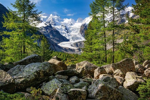 Morteratsch Valley with Bellavista and Morteratsch Glacier