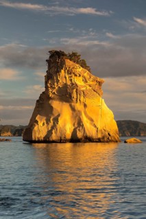 Cathedral Cove