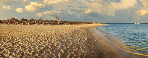 Sandy beach beach and coral reef Abu-Dabbab