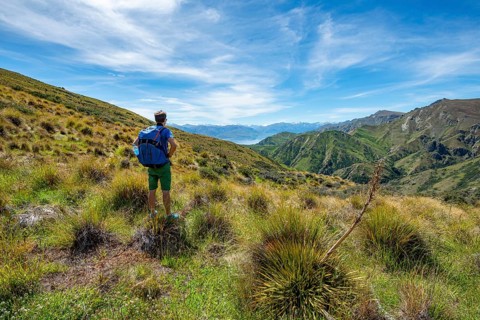 Hiker on hiking trail
