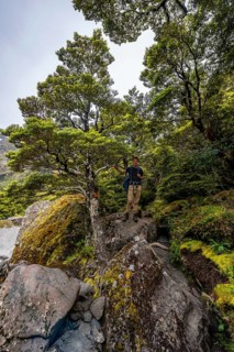 Hiker on Hiking Trail