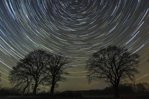 Star trails over trees in the night sky