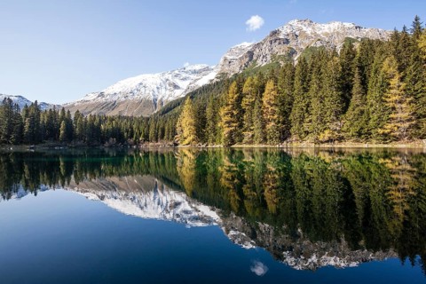 Autumnal larch forest at Obernberger See