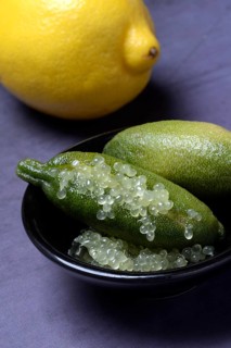 Australian finger lime